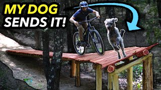 Building an INSANE Banked Drop and Riding it...