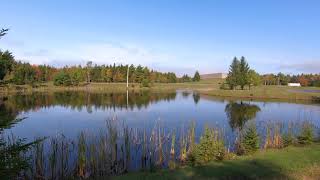 Hiking Victoria Park: The Ponds trail