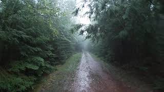 Walking in the Rain Part 2 (Victoria Park,...
