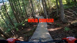 Ninja Cougar at the Whistler Bike Park!!