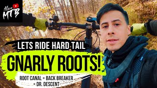 MTB Riding Gnarly Roots on a Hard Tail in...