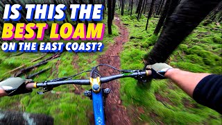 Snowshoe's backcountry is a mountain biking...
