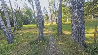 14.08.2020 This trail literally stank - Indre...