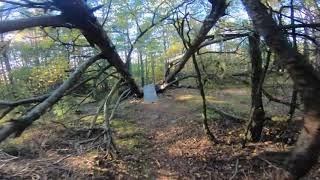 Hisingsparken Southern Quest-hoppet