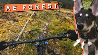 A Weekend at Ae Forest | Mountain Biking in...