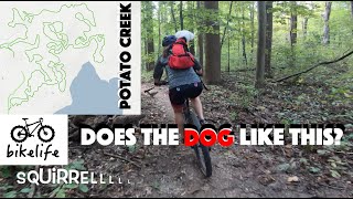 Potato Creek Mountain Bike Trail - Dog in K9...