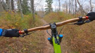 Justice Training Loop (2) Trail