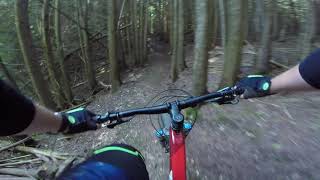 Short but Sweet - Carrick Tract Trails