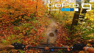 Les Couleurs de la Gopro Hero 9 sont...