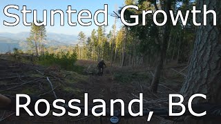 Stunted Growth - Rossland, BC