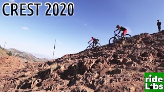 Wasatch Crest Trail, Fall 2020
