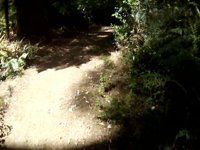 Exit, MTB Trail, Whaka Forest, Rotorua, New...