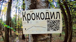 Чесс-парк   |   Крокодил