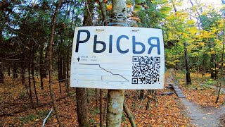 Чесс-парк   |   Рысья
