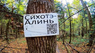 Чесс-парк   |   Сихотэ-Алинь