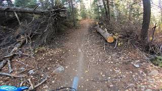 Ephraim Canyon White Pine to Pioneer to Pinecone