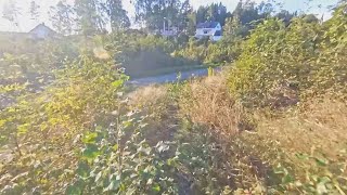 Fun singletrack and ski tracks at...