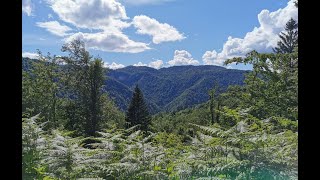 PM & AM MTB trails - Gorski kotar