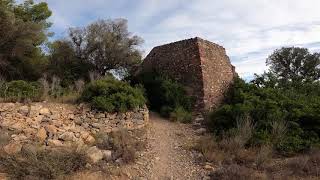 Covartxos antenas