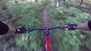 Down and Out - A Quick Single-Track Blast in...