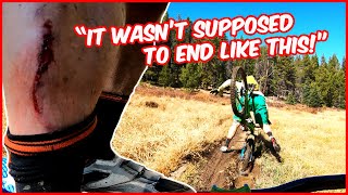 IT WAS ALL FUN & GAMES UNTIL...