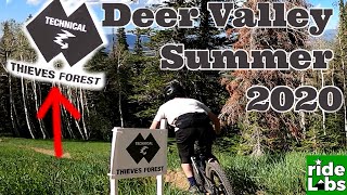 Thieves Forest, Deer Valley 2020
