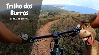 Trilho dos Burros - MTB Sintra