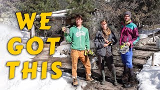 Building a post and beam straw bale house (part 1)