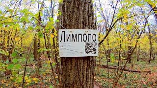 Чесс-парк   |   Лимпопо
