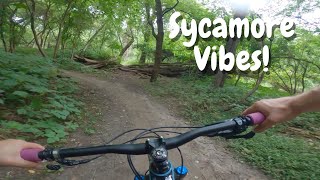 Sycamore North Mountain Bike Trail | Johnston Iowa