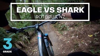 FLOWY CLASSIC - Eagle vs Shark Mountain Bike...