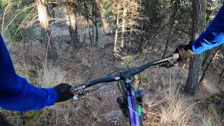 Deep End - Cranbrook Community Forest