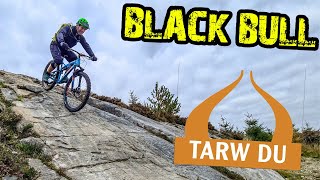 Black Bull (Tarw Du) - Coed Y Brenin - Day 2