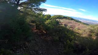 Mas de la Flora