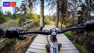 Looks ugly, feels OK ???????? 50 STATE SHRED:...