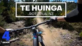 FLOWY GOODNESS - Te Huinga Mountain Bike Trail...
