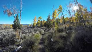 Sheep Creek (short)