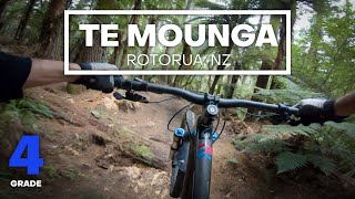 FAST TECH -Te Monga Mountain Bike Trail (Grade...