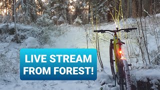 Bike live stream? Is this real??