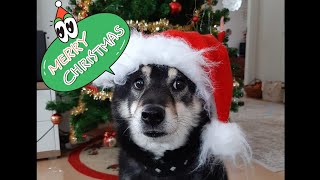 Christmas 2019