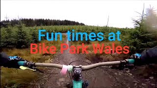 Bike Park Wales: Terry's Belly