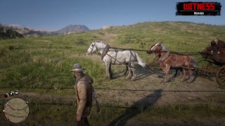 RDR2 Quick Stream - No cam