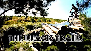 Maryvale Pines, the black trails.
