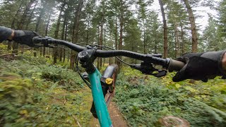 Quick hardtail ride vlog