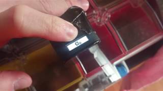 GoPro 4 Session goes crazy,- Firmware v02.00...