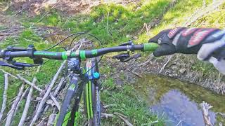 Riding trough Logged area, branches,...