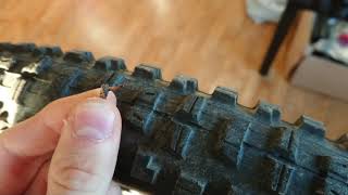 Thorn in Maxxis Minion DHR2 2.30 26er 5765