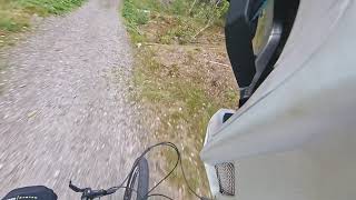 13 august 2018 when you see a fallen tree