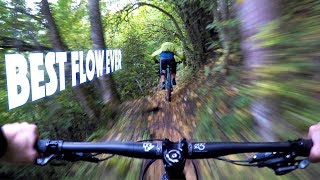 MY NEW FAVORITE FLOW | Mountain Biking the...