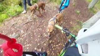 10.09.2017 Skansehytta crowded trails